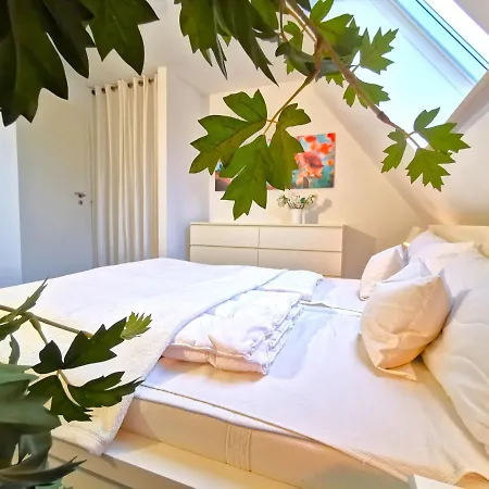 Business-apartment Apartment