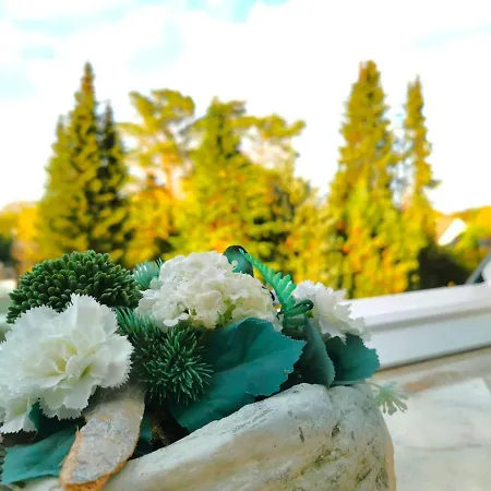 Business-apartment * ארנסבורג